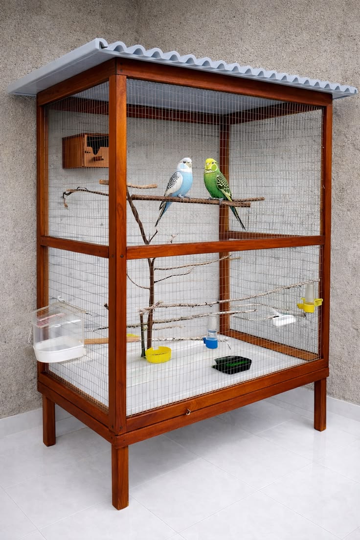 Bird Control Solutions